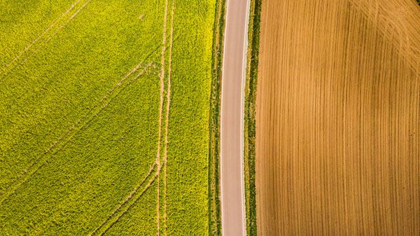 luxartim.ro-above, aerial, agricultural (2)