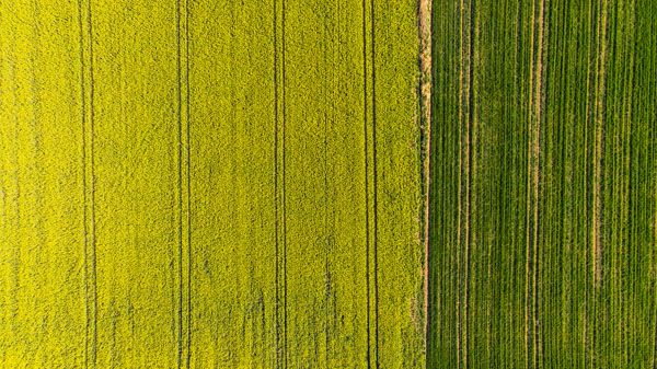 luxartim.ro-above, aerial, agricultural