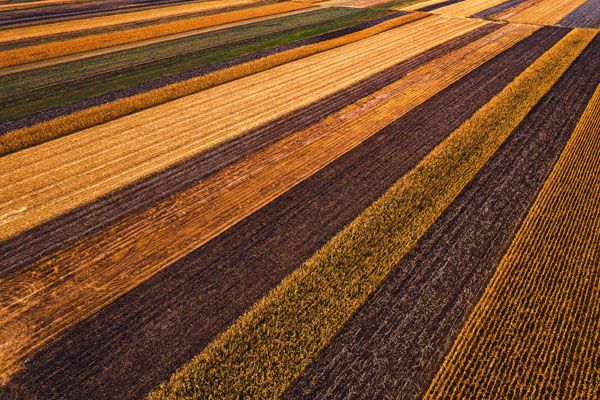 luxartim.ro-agricultural field, from above, drone