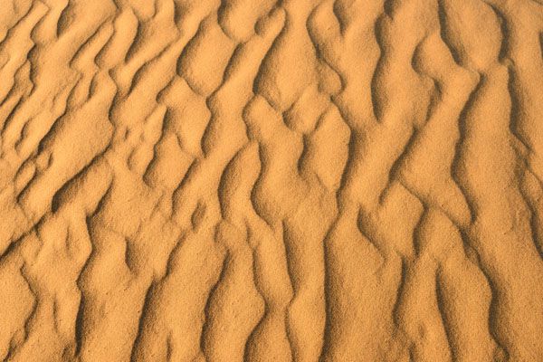 luxartim.ro-dunes, sand, adventure (2)