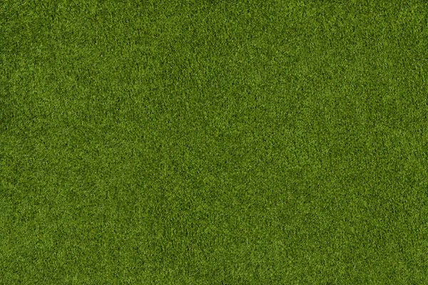 luxartim.ro-grass, field, golf