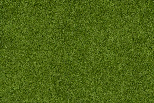 luxartim.ro-grass, field, golf