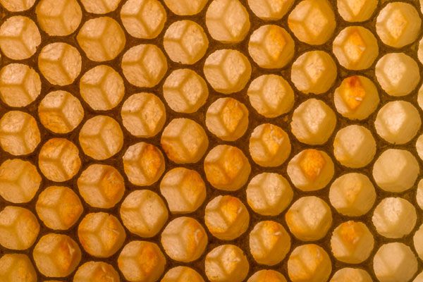 luxartim.ro-Honeycomb, Comb, Abstract