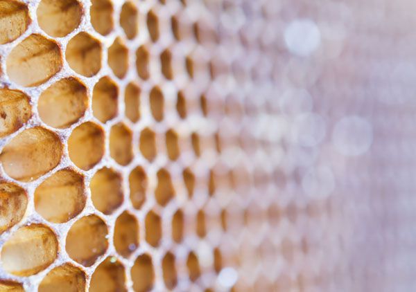 luxartim.ro-honeycomb, honey, background