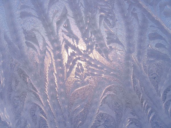 luxartim.ro-ice, pattern, frost