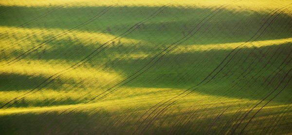 luxartim.ro-landscape, field, meadow