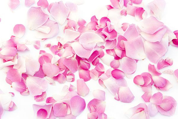 luxartim.ro-rose, petals, pink (2)