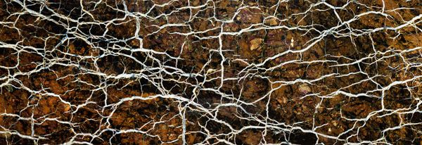 luxartim.ro-texture, mineral, stone (18)