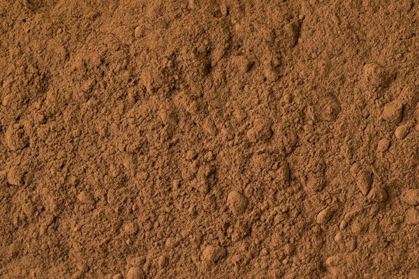 luxartim.ro-cocoa, powder, ground