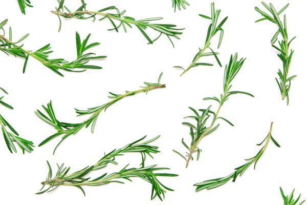 luxartim.ro-pattern, rosemary, herb