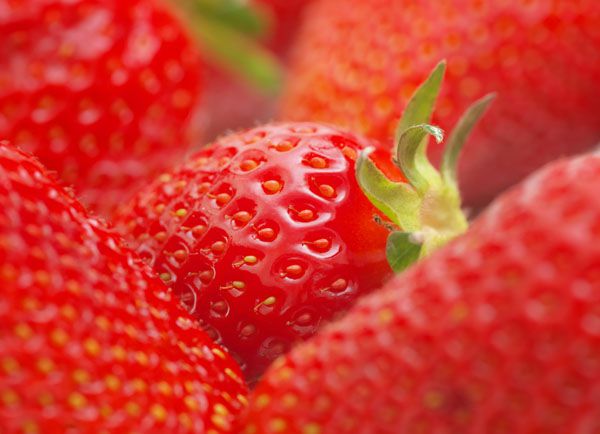 luxartim.ro-strawberry, berry, macro