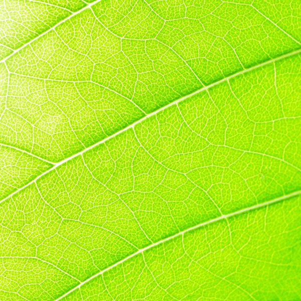 luxartim.ro-abstract, background, green (4)