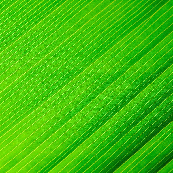 luxartim.ro-abstract, background, green (6)