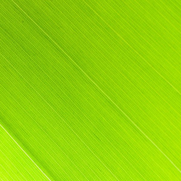 luxartim.ro-abstract, background, green (7)