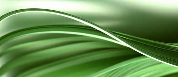 luxartim.ro-leaf, green, color