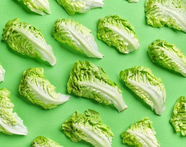 luxartim.ro-lettuce, salad, green
