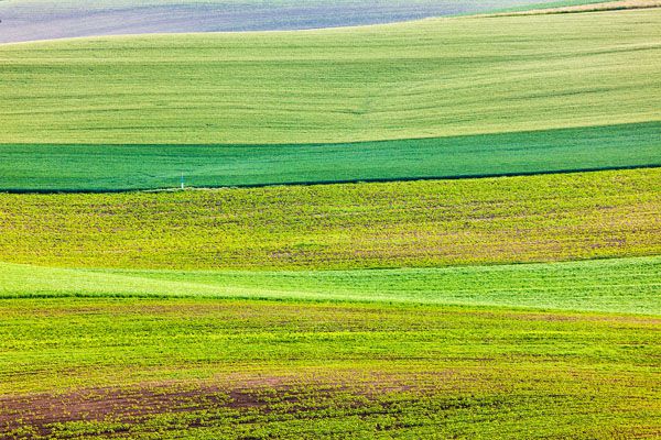 luxartim.ro-moravia, South Moravia, countryside (2)