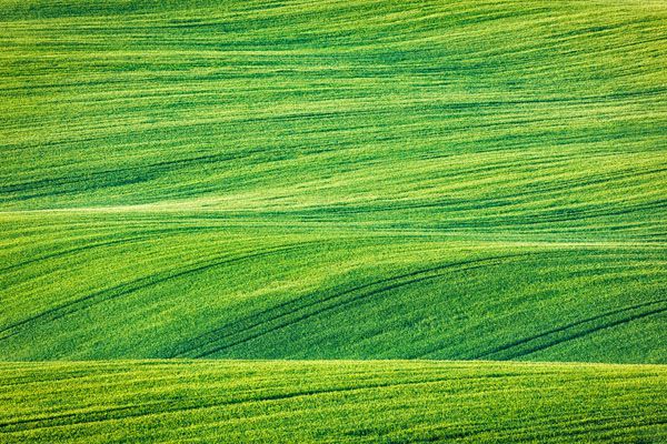 luxartim.ro-moravia, South Moravia, countryside (3)