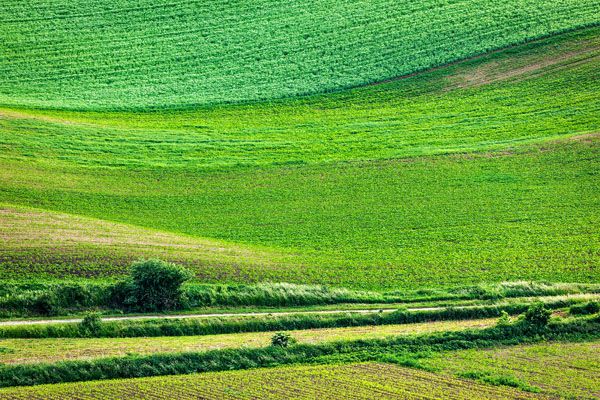 luxartim.ro-moravia, South Moravia, countryside (4)