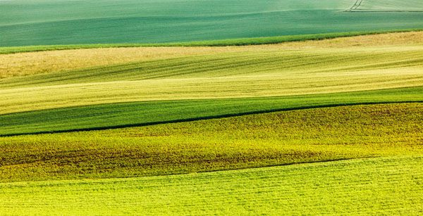 luxartim.ro-moravia, South Moravia, countryside