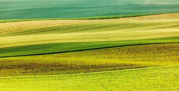 luxartim.ro-moravia, South Moravia, countryside