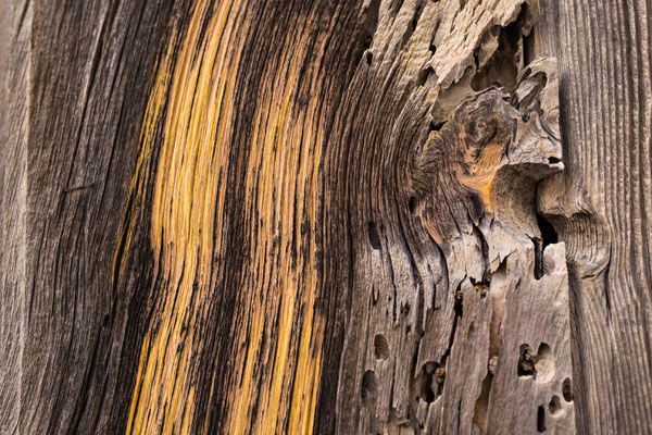 luxartim.ro-Background, Texture, Wood