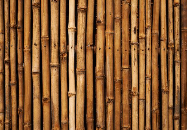 luxartim.ro-bamboo, wall, wood