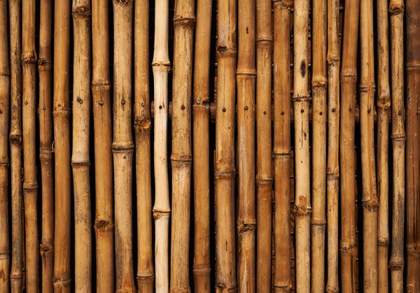 luxartim.ro-bamboo, wall, wood