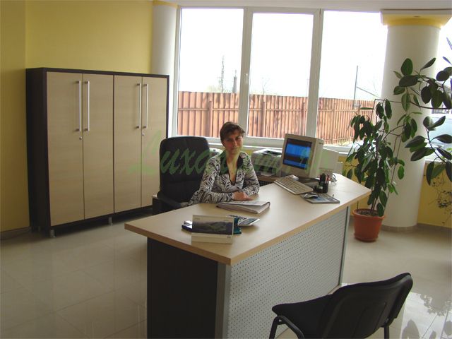 luxartim.ro-2